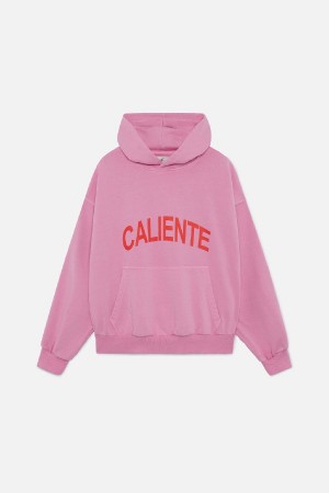 Scuffers Hot Hoodies Pink | PORUHIA-24