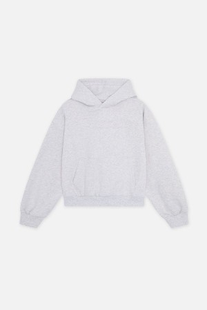 Scuffers Internet Hoodies Light Grey | FANBQMD-54