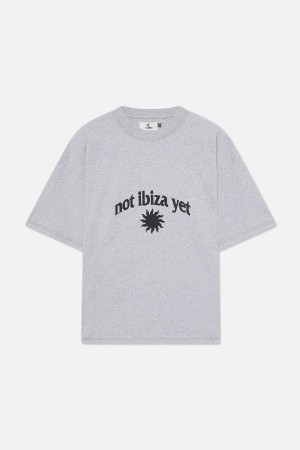 Scuffers NIY T-Shirt T-Shirts Light Grey | IRCMTZG-93