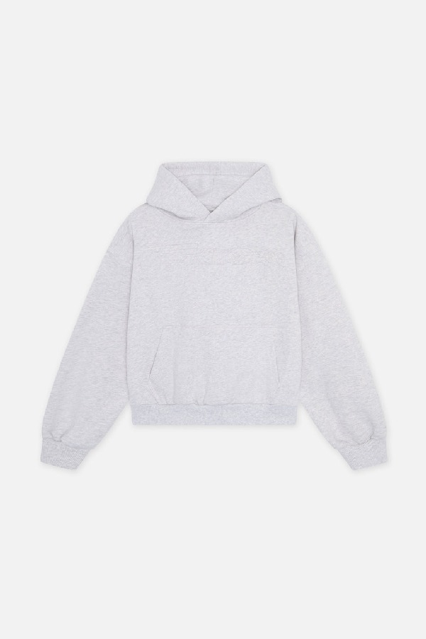 Scuffers Internet Hoodies Light Grey | FANBQMD-54